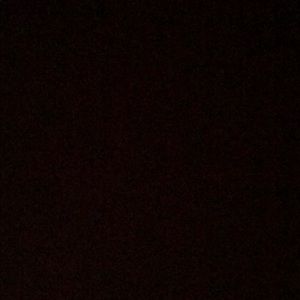 Meet your Posher, Henry